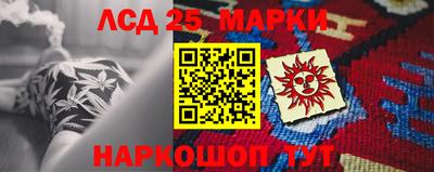 крисы Аргун