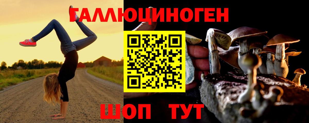 наркотики  Артёмовский  Галлюциногенные грибы мицелий 